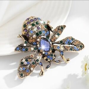 Elegant Multicolor Insect Brooch